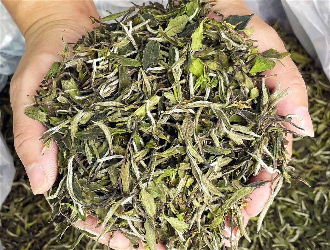 Does Tea Expire? Well, It's Complicated...