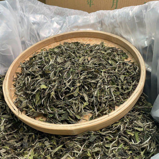 Green Tea vs White Tea | What are The Differences?